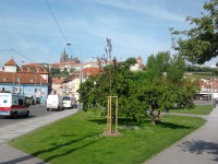 /album/appartamento-pompei/a2014-05-06-10-44-57-jpg/